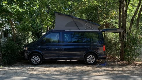 Bertie  – T6 California Beach 2019 sleeps 4 