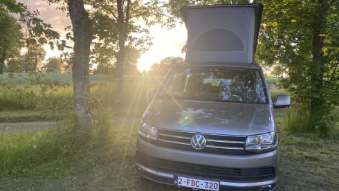 the.VANhoutte – 4p Volkswagen bus from 2019