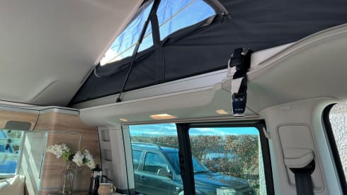 Florence – 2021 T6.1 California Coast