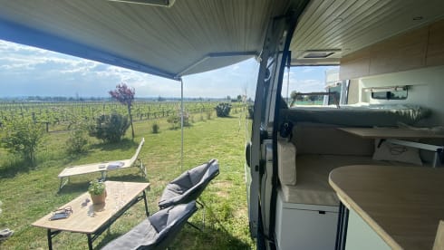Dikke bus (BABYPROOF) – Custom Made Campervan from 2022