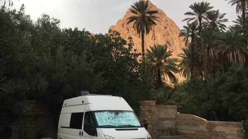 Transie – 2p Ford camper from 2006