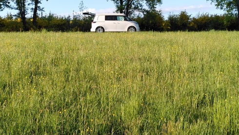 Daisy – Sustainable camping with a cute electric Volkswagen van