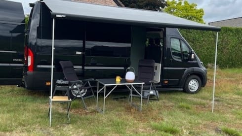 3p Peugeot bus from 2020