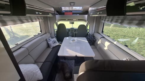 Jenny – 4p Roller Team semi-integrated from 2022