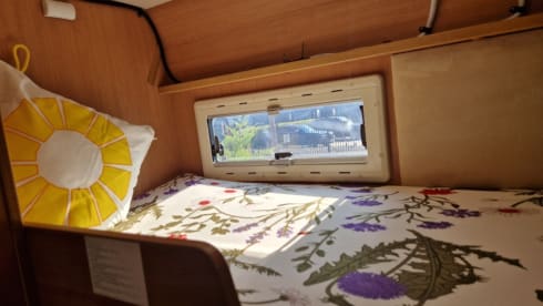 Flash – Ford Chausson