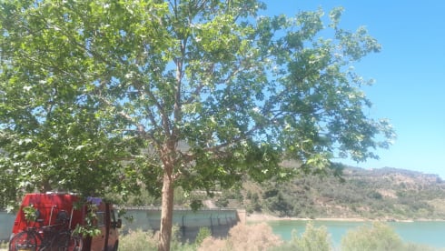 Comfortable camper van