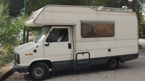 Piccolo Forrest – Welcome aboard Piccolo Forrest