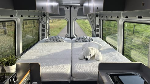 Bertus – Mercedes Sprinter 519CDI 3.0 V6 (191 hp) Automatic Bus Camper – B driving license –