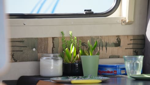 Minty – Minty; Cheerful 2p campervan from 2004, solar panel on the roof!