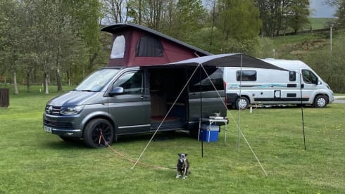 Camper Volkswagen a 2 posti letto del 2017