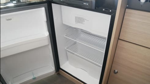 2p Carado semi-integrated from 2019