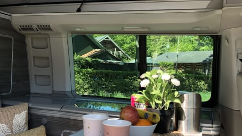 Volkswagen T6 California Ocean Campervan from 2018