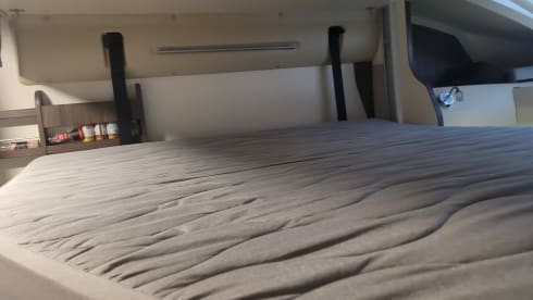 4p Benimar integrated uit 2019