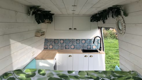 Sunny ☀️ – Off grid Ford bus