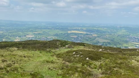 BETTY – ELDDIS VOGUE 155