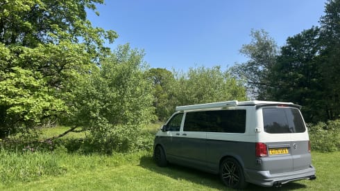 Cody the Camper!  – 4 berth VW Campervan Devon