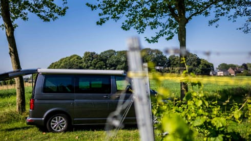 VW California 6.1 Ocean (2022) - 4 Persons - Automatic + Bicycle rack