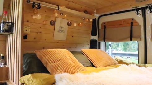 Willem – Willem - Cozy bus camper!