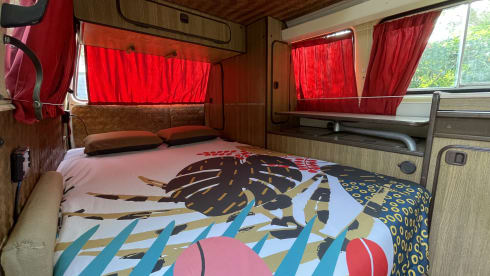 NINA – Volkswagen t3