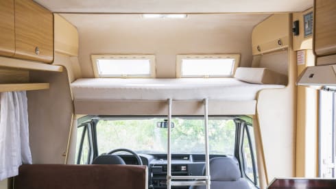 Sangria – Walking with Sangria!