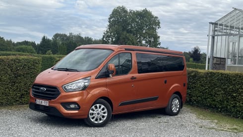Nugget – Ford Nugget 2023