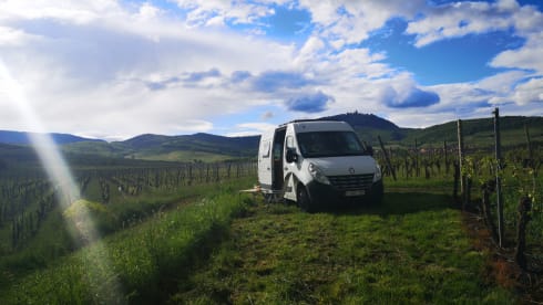 Converted bus - Renault Master 2010