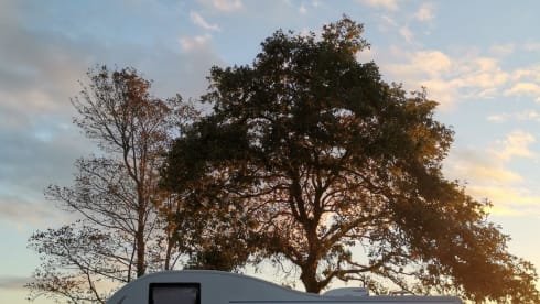 🌊🌲🤗🌻      – Summer or Autumn adventure! Warm & cosy. 😍 Modern & luxurious! Ask now...