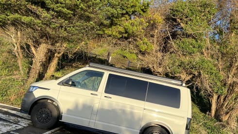 Vw T6 Swamper 