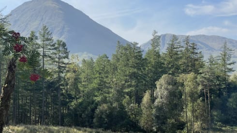 Acorn – 4 Berth Luxury VW Pop Top Campervan Loch Lomond