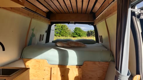 Calum the coo – Calum il comodo coo - assicurazione inclusa 