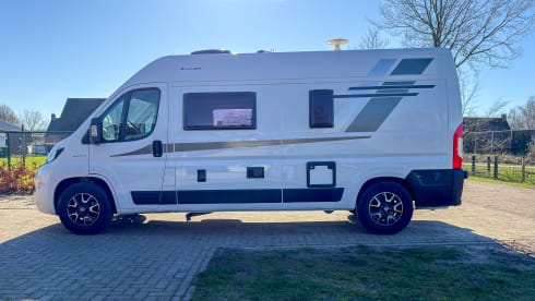 Witte Vlegel – Mclouis Menfys Matic 