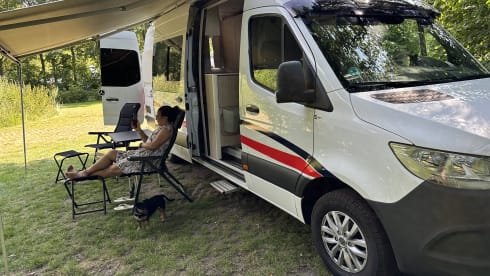2p Mercedes-Benz bus from 2019 Newly built 