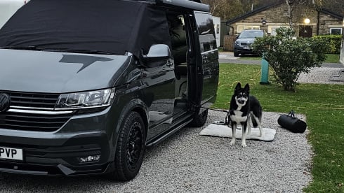 Indy  – VW Transporter Campervan 2021 - 4 Berth