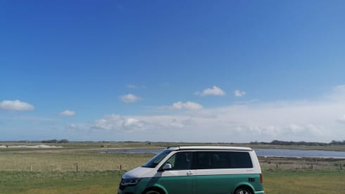 Kampie – Volkswagen California Ocean automatique