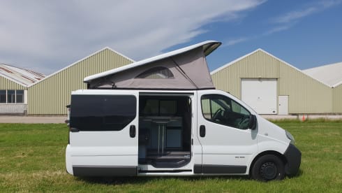 Adria 3 way – Adrian 3 way