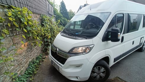 Bussi – Nur für Freunde 