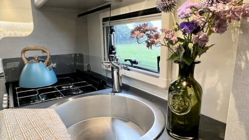 Wilf – 6 belt, 6 berth (2023)