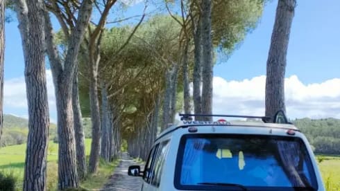 Kingston – My heart