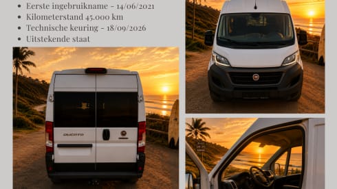 Pikatchu – 3p Fiat bus from 2021