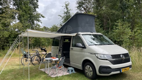 Birdy – New 2022 VW California Coast