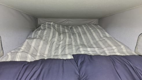 Knight Rider!  – TOP CLASS 4 berth Nissan campervan