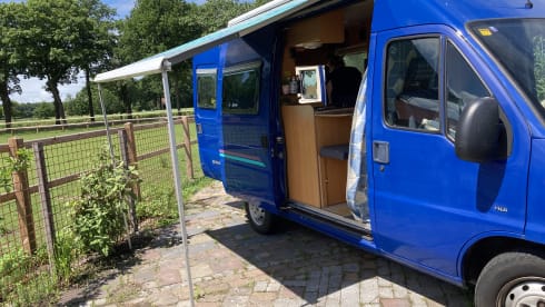 De Blauwe – 2p Pössl Peugeot Boxer bus uit 2001