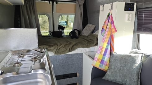 2p Peugeot bus uit 2008