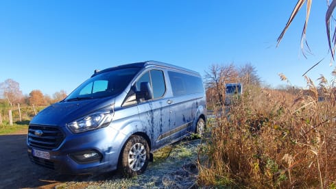  Ford Westfalia Nugget – 4p Westfalia Nugget from 2022