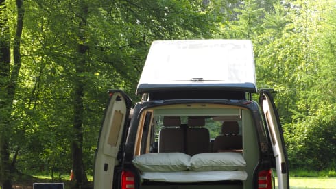 Willow – Willow Luxury VW campervan with everything included 
