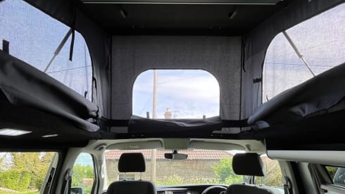 Curly – 4 berth Volkswagen Transporter Campervan from 2022