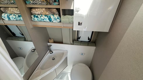 Nuovissimo furgonato Delfin Burstner