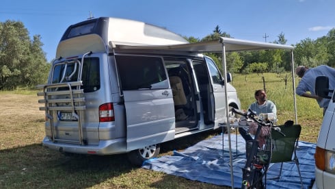 Faustino  – Hotel California 