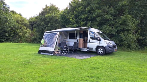 SunnieSunliving – 2-person Fiat Ducato bus from 2017