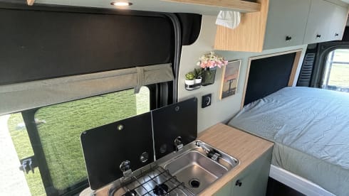 3p Peugeot bus from 2016